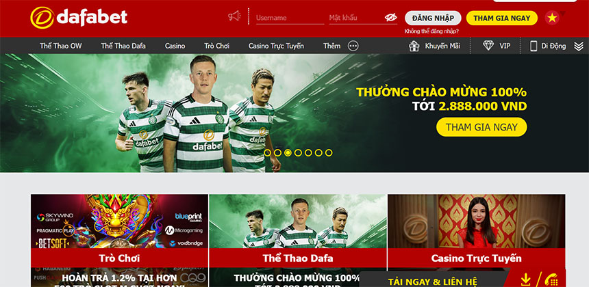 Cá cược bóng đá là gì?